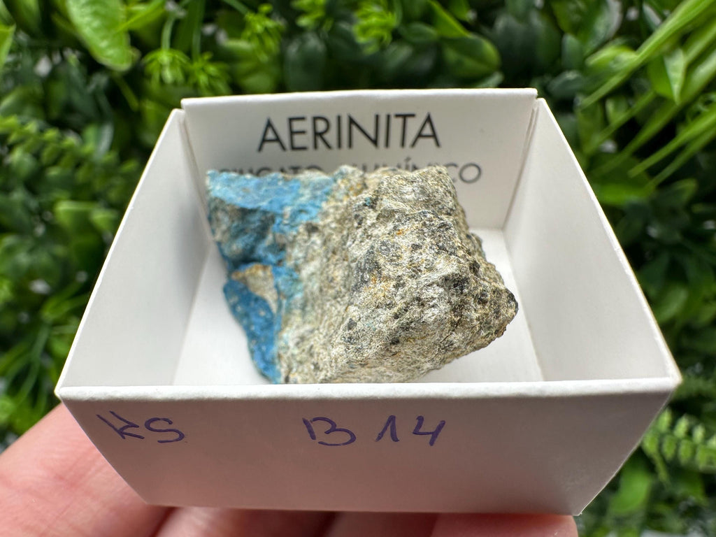Rare Raw Aerinite Mineral Specimen: Lleida, Spain Crystal