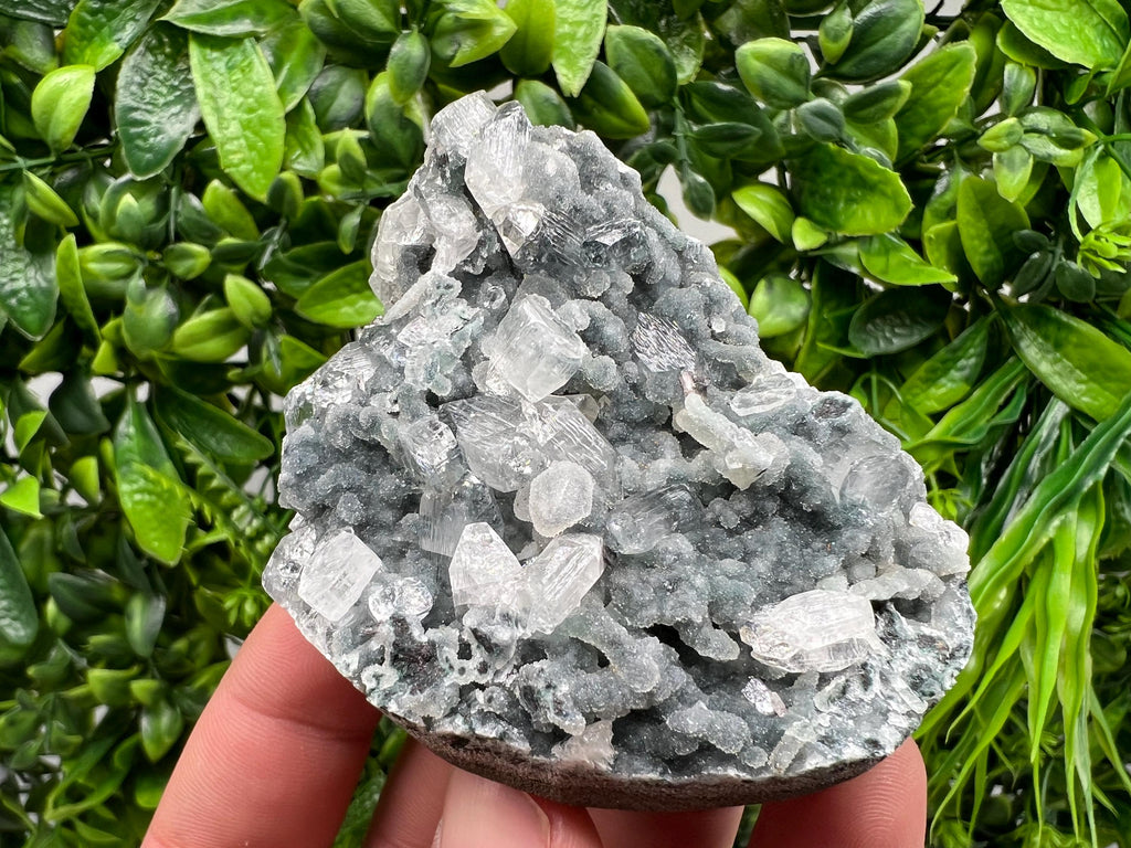 STUNNING Transparent Apophyllite on Chalcedony,natural, collection minerals specimen,India Minerals,Crystal, Stone Mineral Specimens India