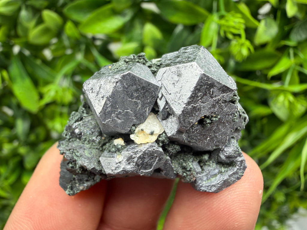Aesthetic Sphalerite,Galena whit Chlorite from Borieva mine Madan Bulgaria natural minerals souvenir crystal gift home decor stone rock