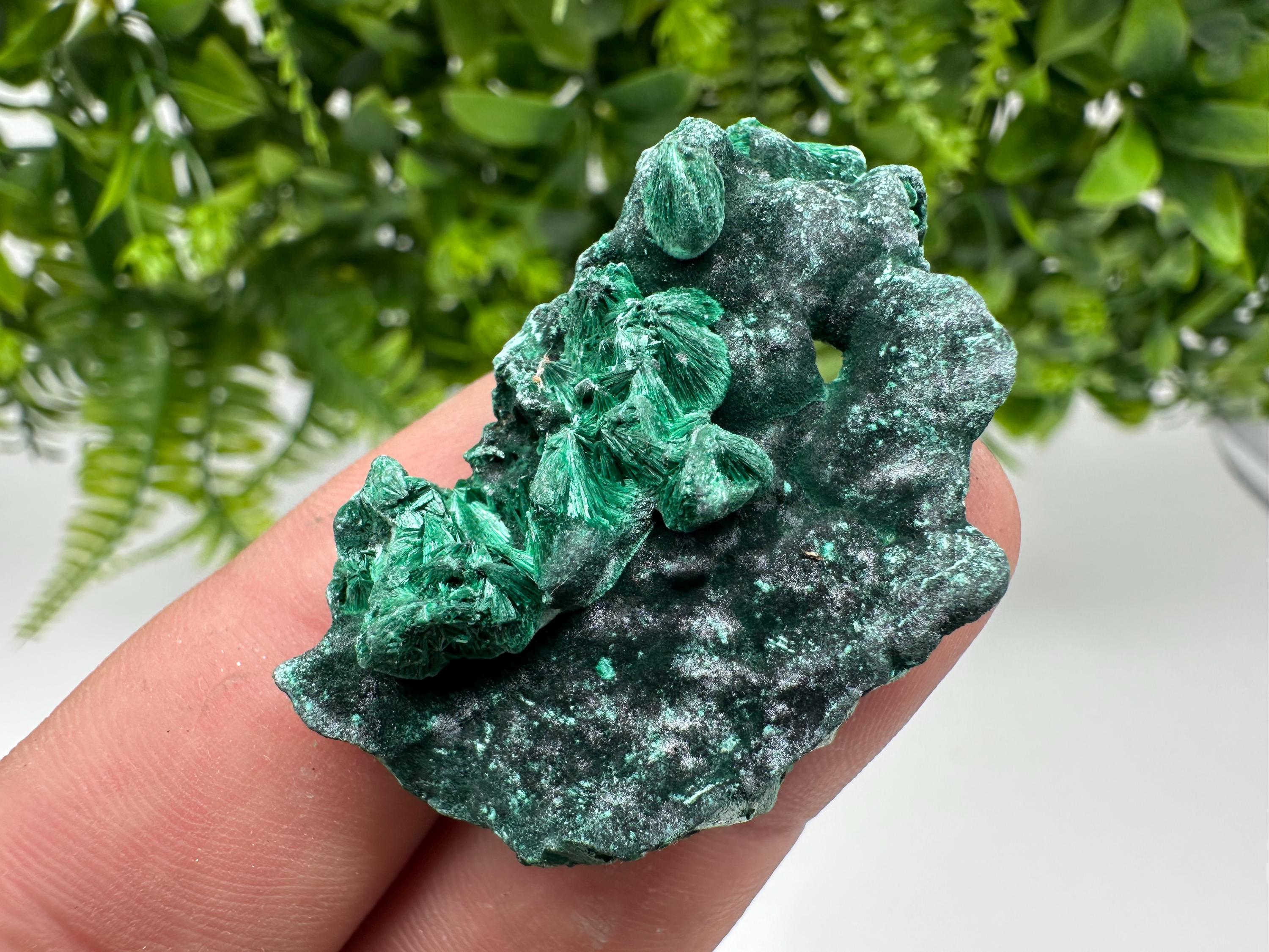 Malachite Crystal from Congo,Minerals,Crystals from Congo,Green Malachite, Malachite,Natural Malachite,Malachite Stone,Chakra, Specimens