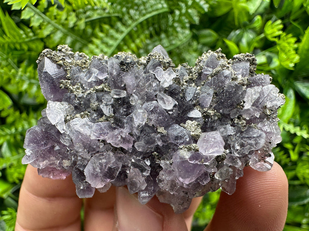 Amethyst with Pyrite: Natural Crystal Mineral Souvenir