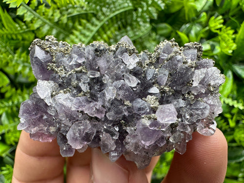 Amethyst with Pyrite: Natural Crystal Mineral Souvenir