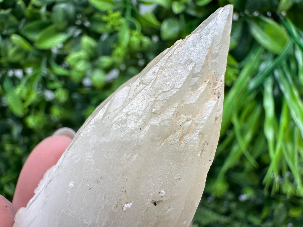 Calcite on Green Quartz: Laki Bulgaria Healing Crystal