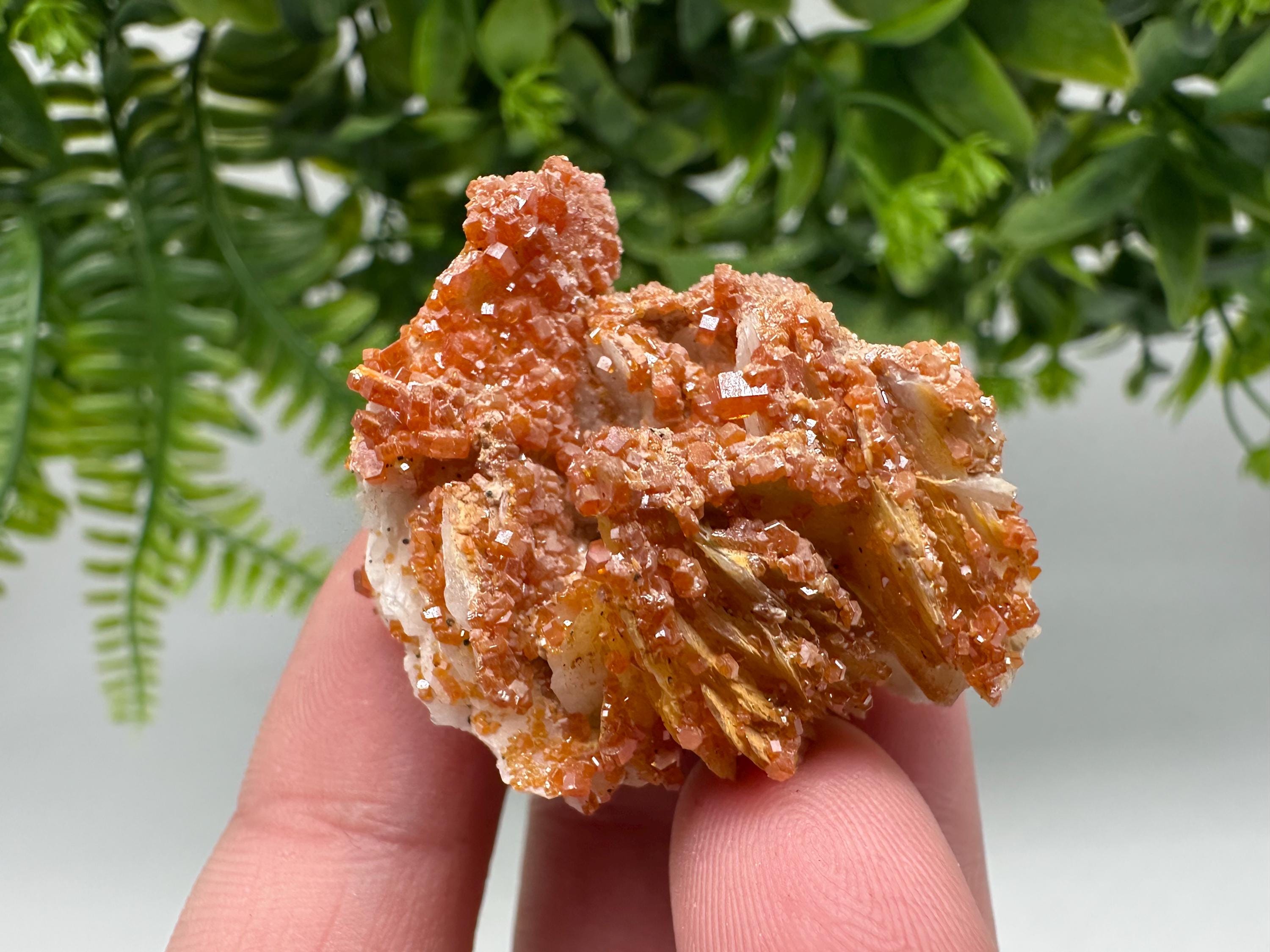 Red Vanadinite on Barite from Marocco,crystal minerals Speciment cluster Vanadinite crystal Vanadinite Geology Vanadinite cluster minerals