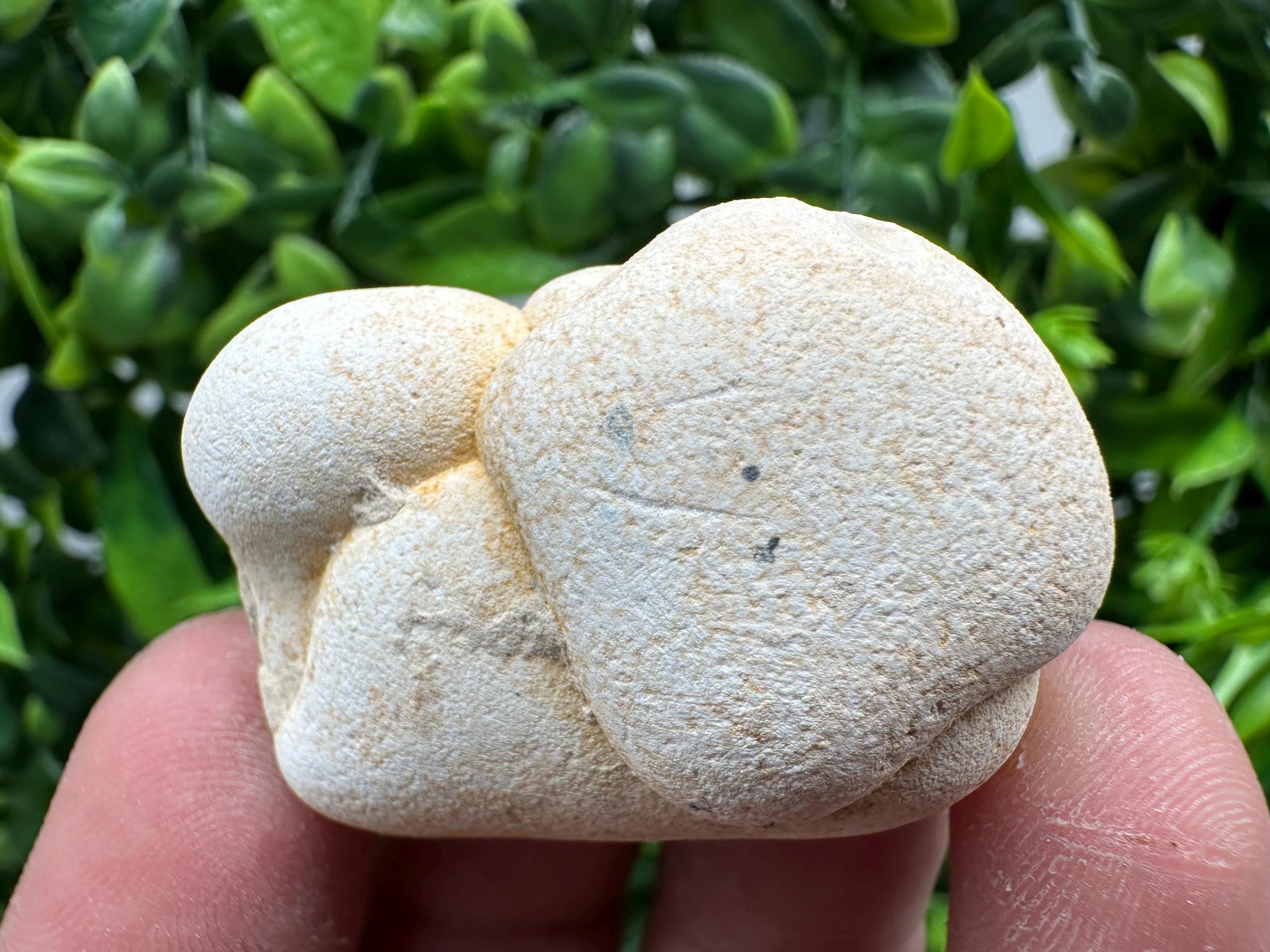Menalite Crystal: White Fairy Stone, Moroccan A+ Grade