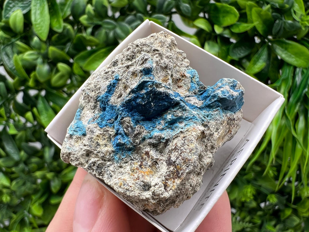 Rare Raw Aerinite Mineral Specimen: Collection Crystal from Lleida, Spain (4/3.5 CM)