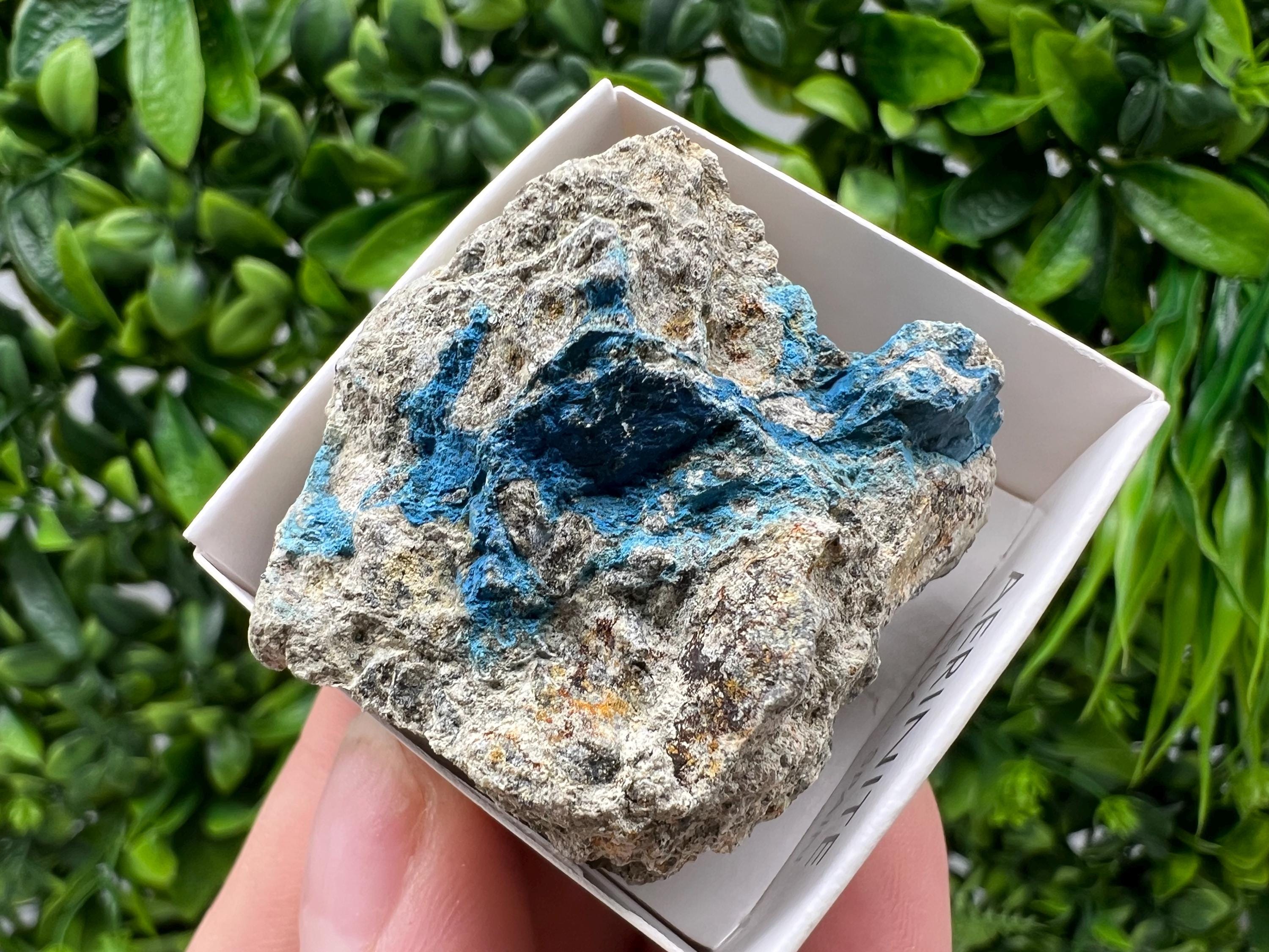 Rare Raw Aerinite Mineral Specimen: Collection Crystal from Lleida, Spain (4/3.5 CM)