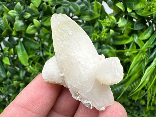 Calcite on Aragonite: Djurcovo Mine, Bulgaria Crystal