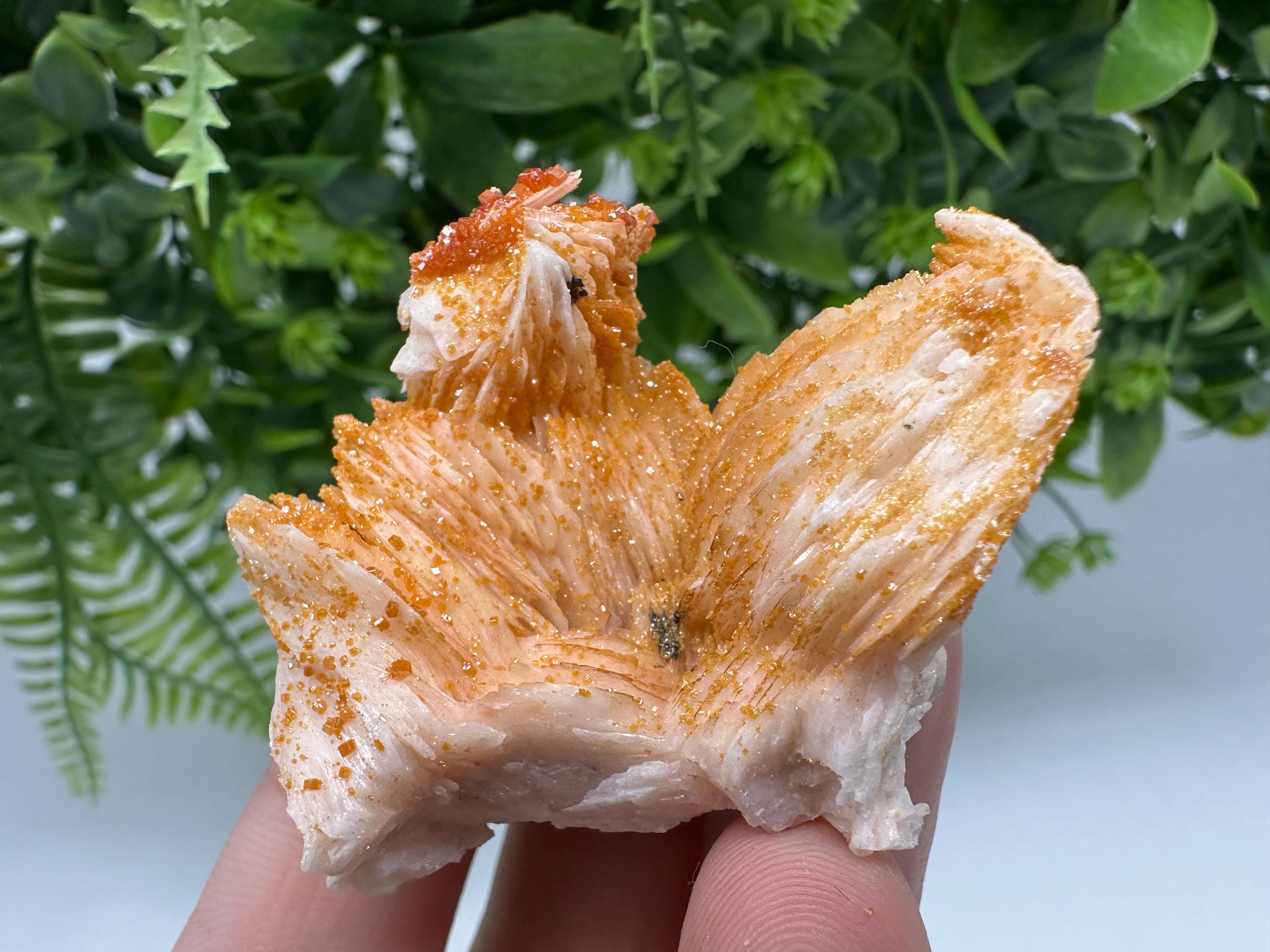 Red Vanadinite on Barite Crystal Specimen, Moroccan Mineral Cluster
