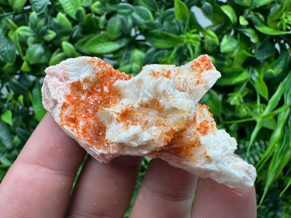 Red Vanadinite on Barite, Moroccan Crystal Cluster