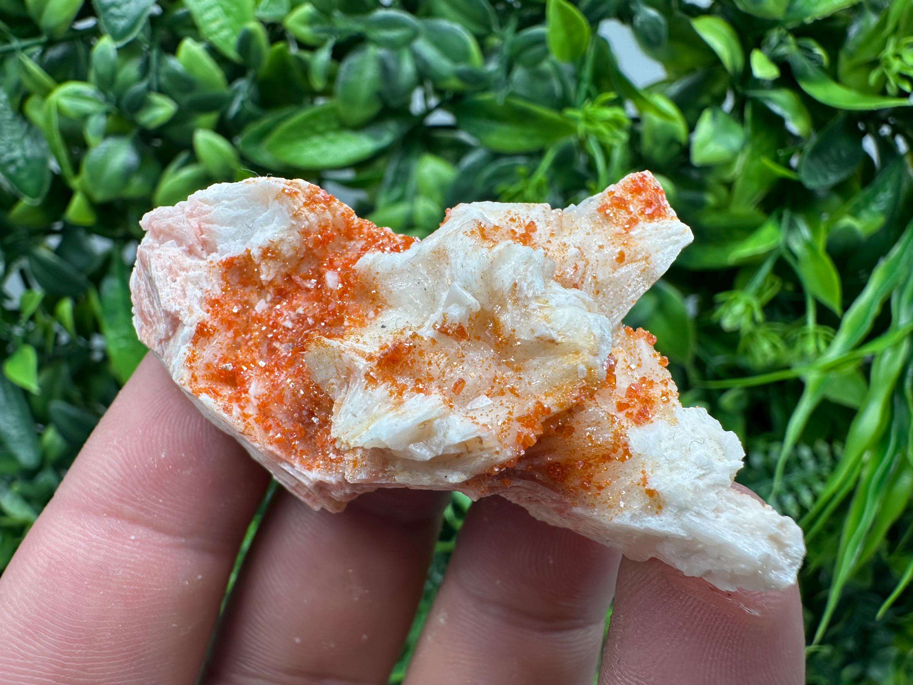 Red Vanadinite on Barite, Moroccan Crystal Cluster