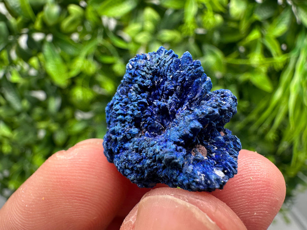 Crystallized Azurite-Kerrouchen,Morocco-Blue Azurite Specimen-High Quality Blue Azurite-Azurite Mineral Specimen, gemmy,lustrous of Azurite
