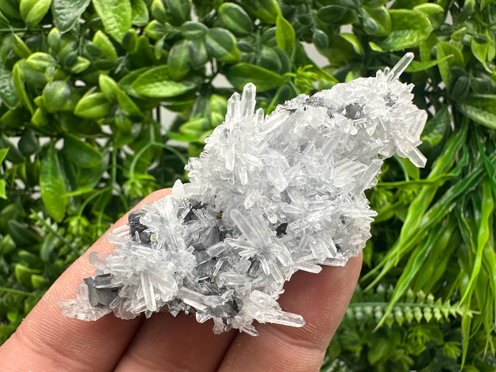 Sphalerite on Green Quartz, Borieva Mine Mineral Specimen