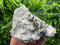 Pyrite Calcite on Matrix, Bulgaria Mineral Specimen, Home Decor Stone