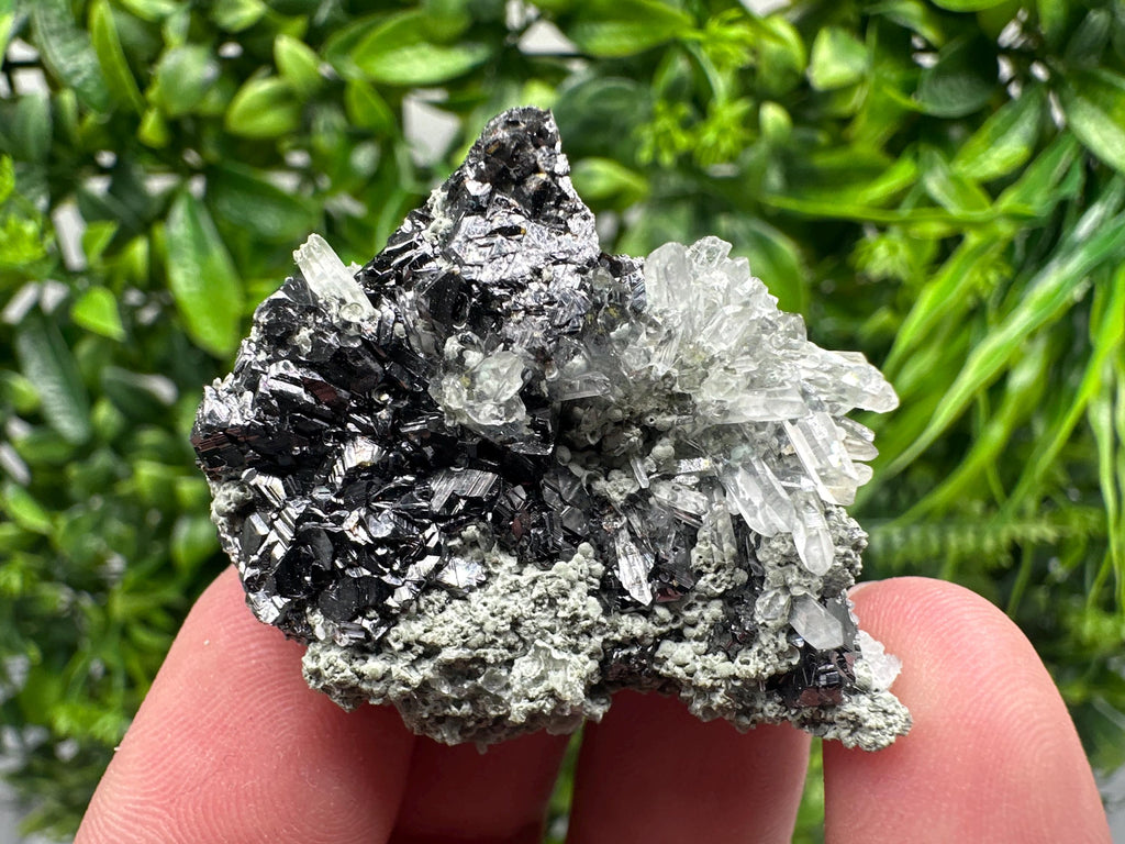 Aesthetic bigger Sphalerite whit Chlorite from Borieva mine Madan Bulgaria natural minerals souvenir crystal gift home decor stone rock