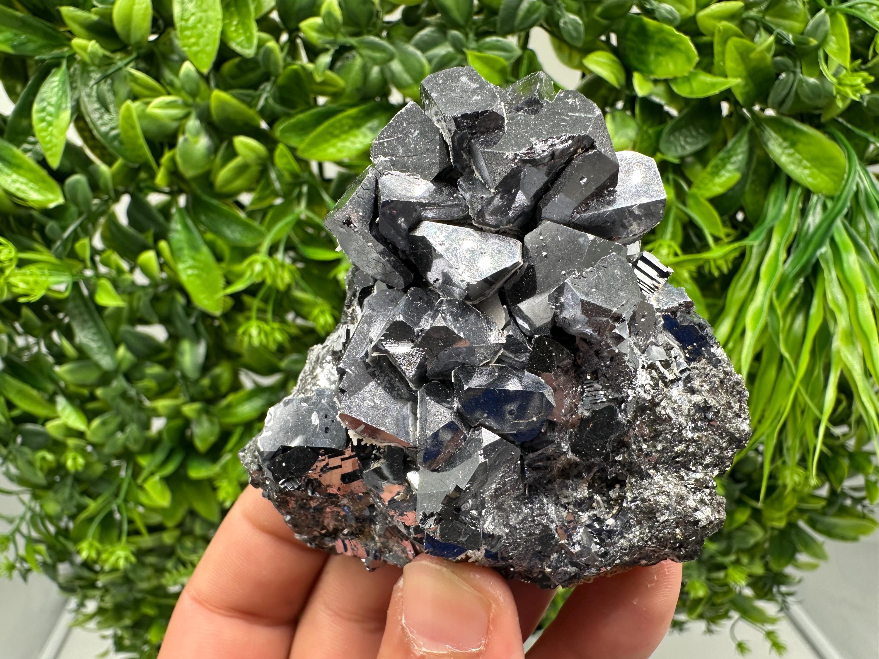 Rare Galena Cubes, Extra Mirror, Marzyan Mine, Bulgaria