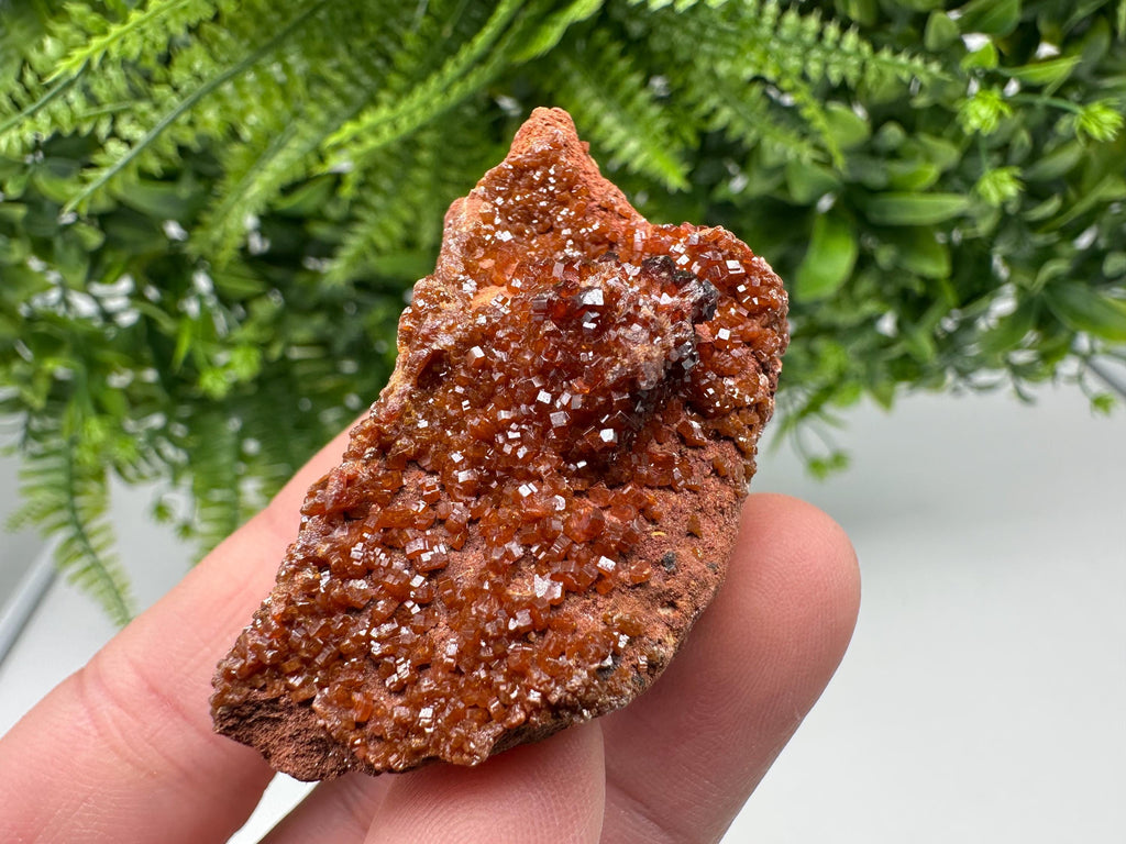 Red Vanadinite on Matrix from Marocco,crystal minerals Speciment cluster Vanadinite crystal Vanadinite Geology Vanadinite cluster minerals