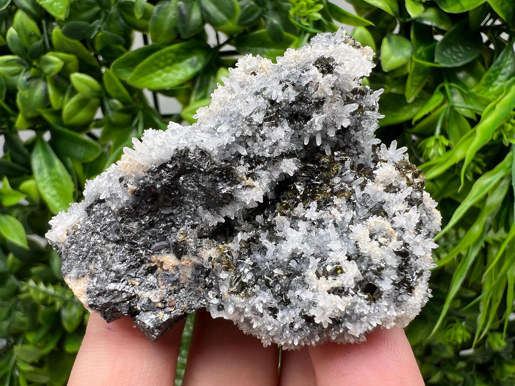 Stunning Gems Sphalerite Cleiopfane on Quartz from Krushev dol mine,Madan,Bulgaria,natural,collectible mineral specimen,home decor stone