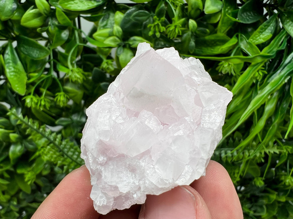 UV Reactive Mangano Calcite Crystal: Androvo Mine, Bulgaria