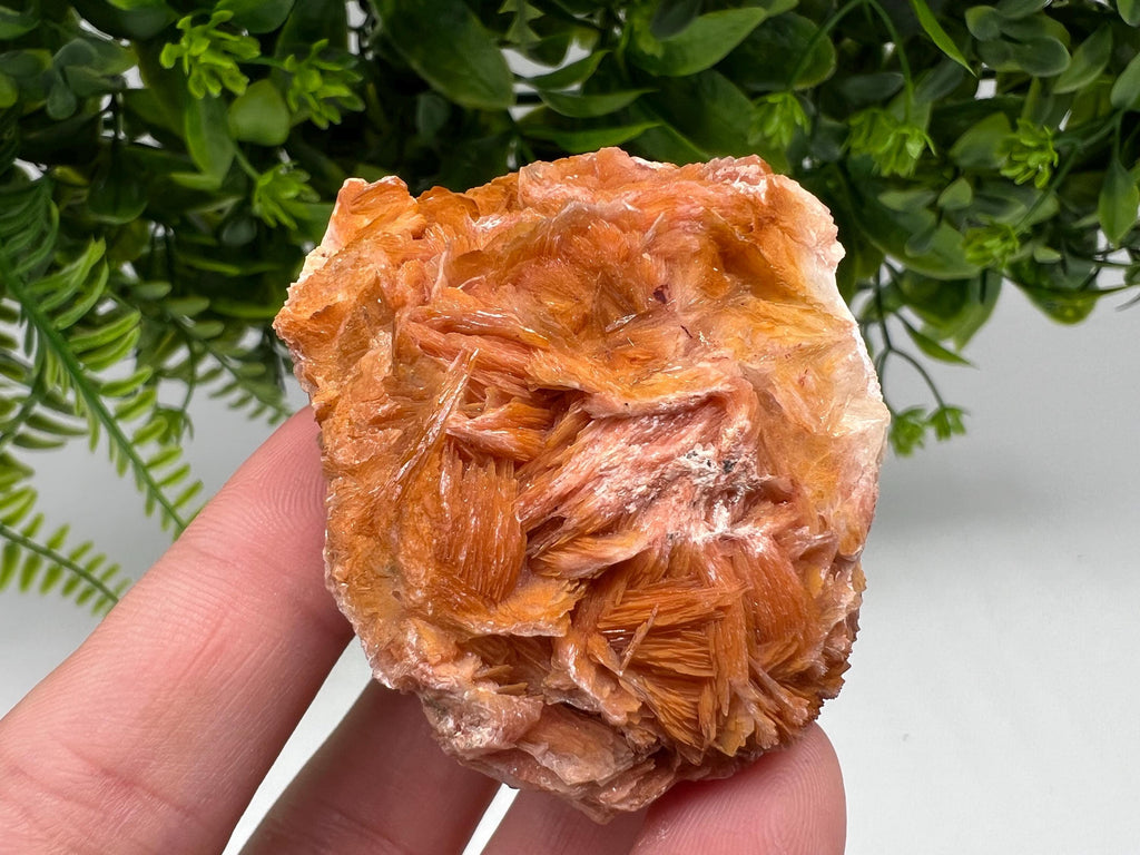 Wonderful Baryte with Cerussite on Galena from Morocco,Crystal, Mineral,Specimen,Cluster,Crystals,Barite Crystal,Cerussite Crystal,Specimen