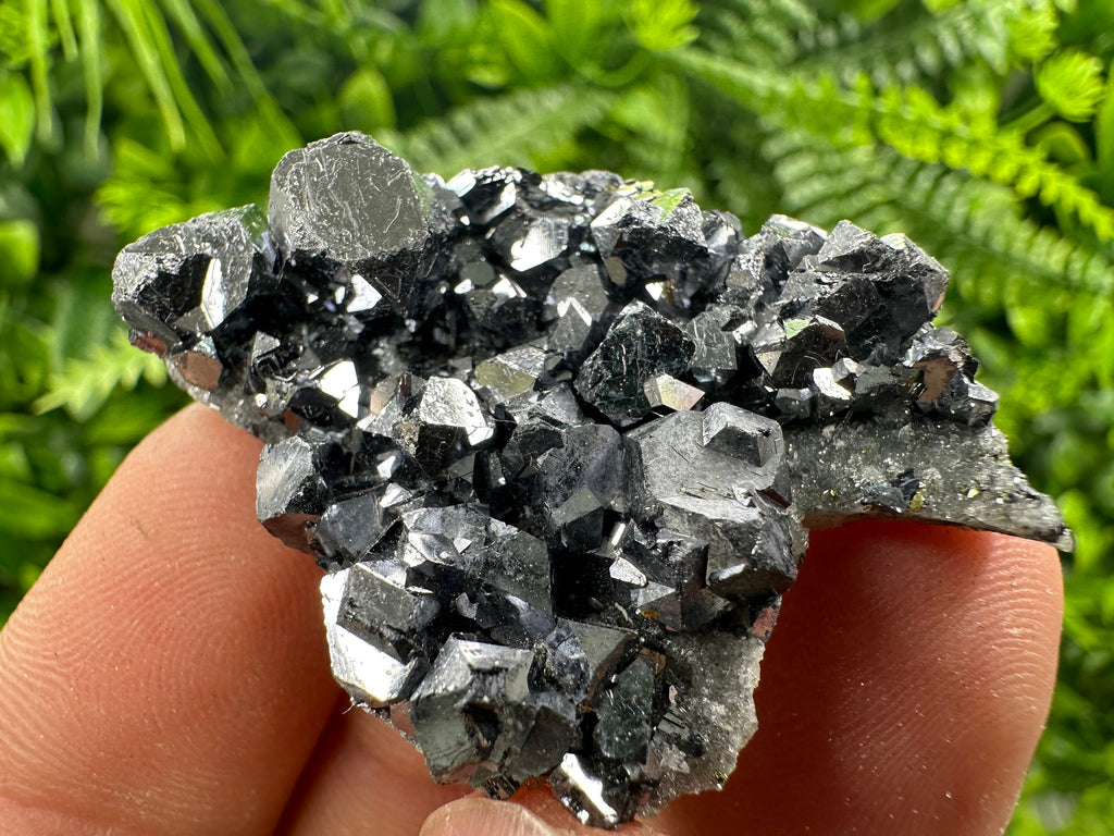Shiny Galena on Quartz, Borieva Mine Bulgaria