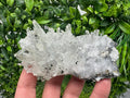 Chlorite Quartz Crystal Cluster: Borieva Mine, Bulgaria