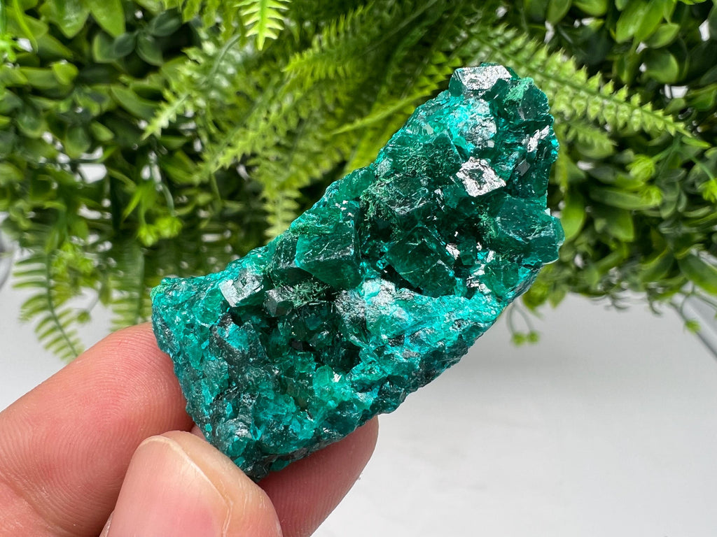 Stunning Green Dioptase from Sanda Hills,Mindouli,Pool Department,Mindouli District,Congo,green Dioptase,Dioptas Crystal,Dioptase collecting