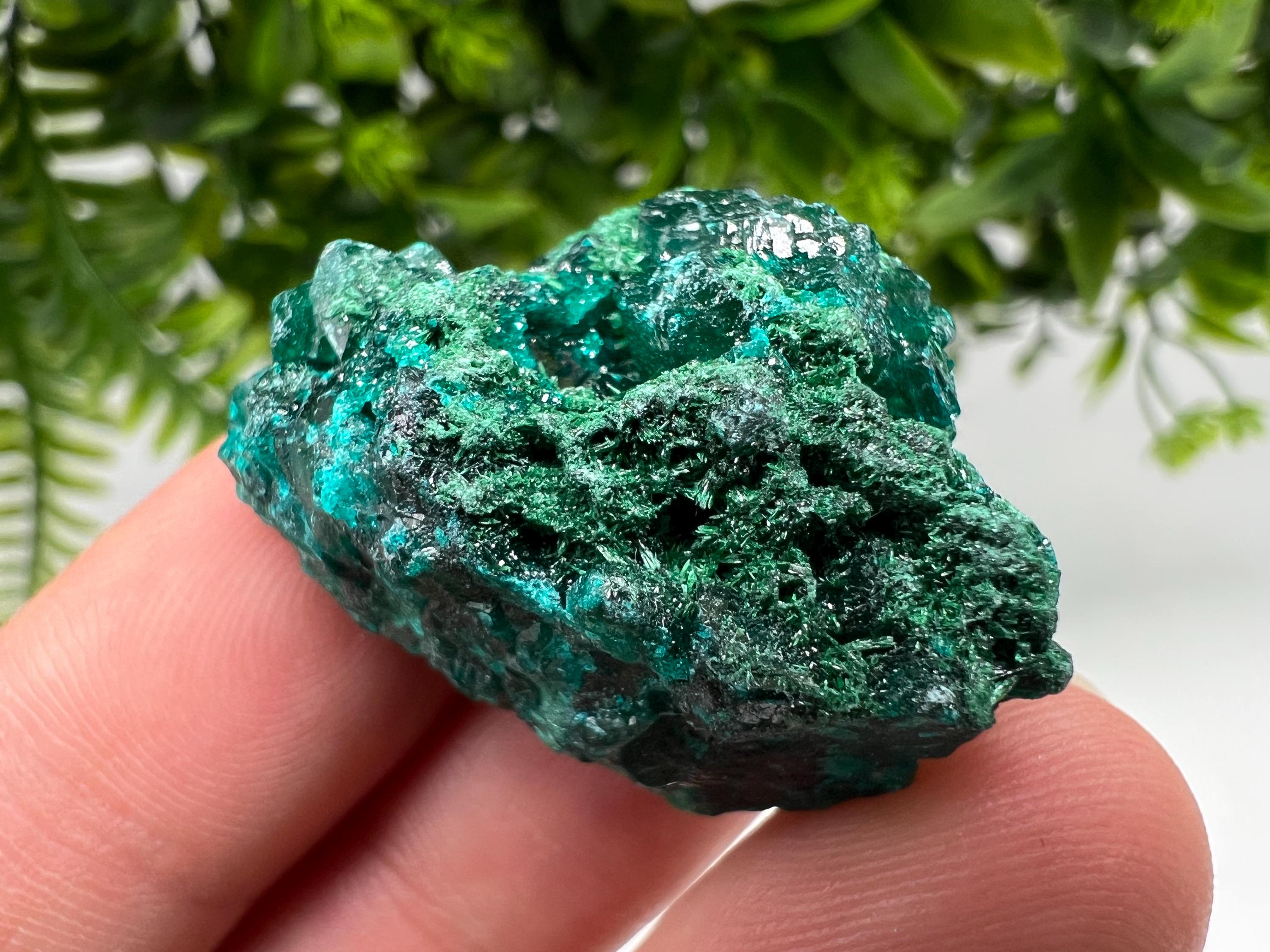 Stunning Green Dioptase from Sanda Hills,Mindouli,Pool Department,Mindouli District,Congo,green Dioptase,Dioptas Crystal,Dioptase collecting