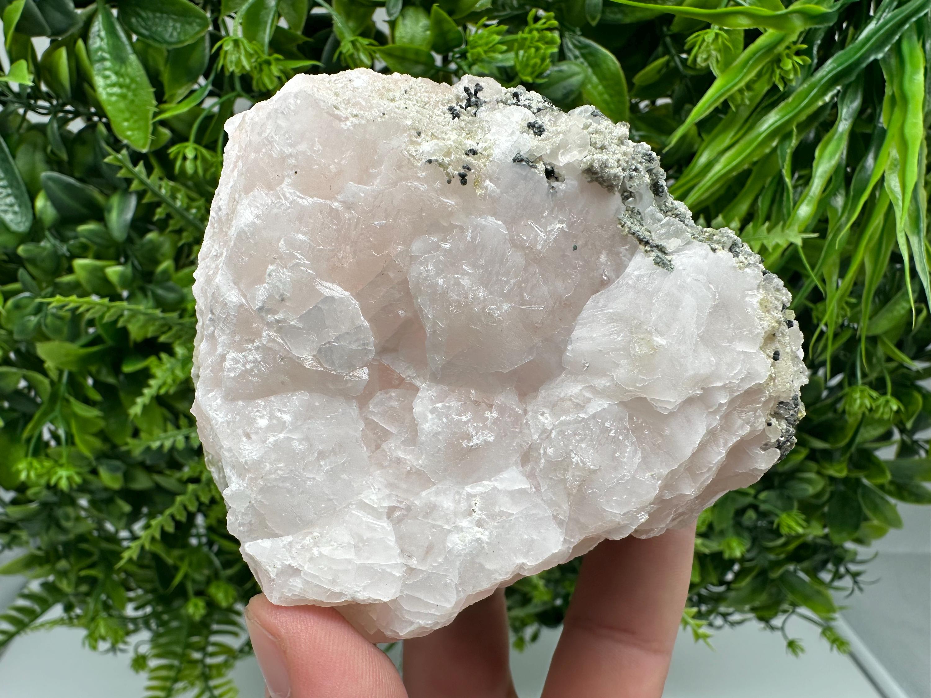 UV Mangano Calcite: Borieva Mine, Bulgaria Crystal Decor