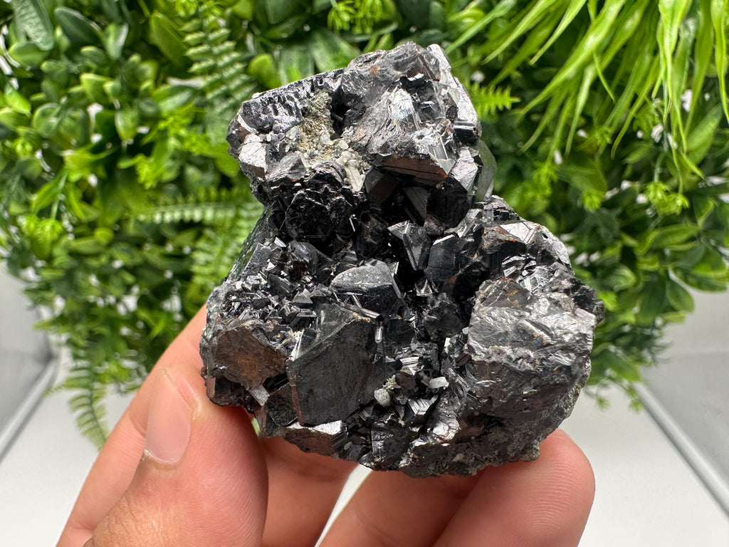 Sphalerite with Chlorite, Borieva Mine, Madan, Bulgaria
