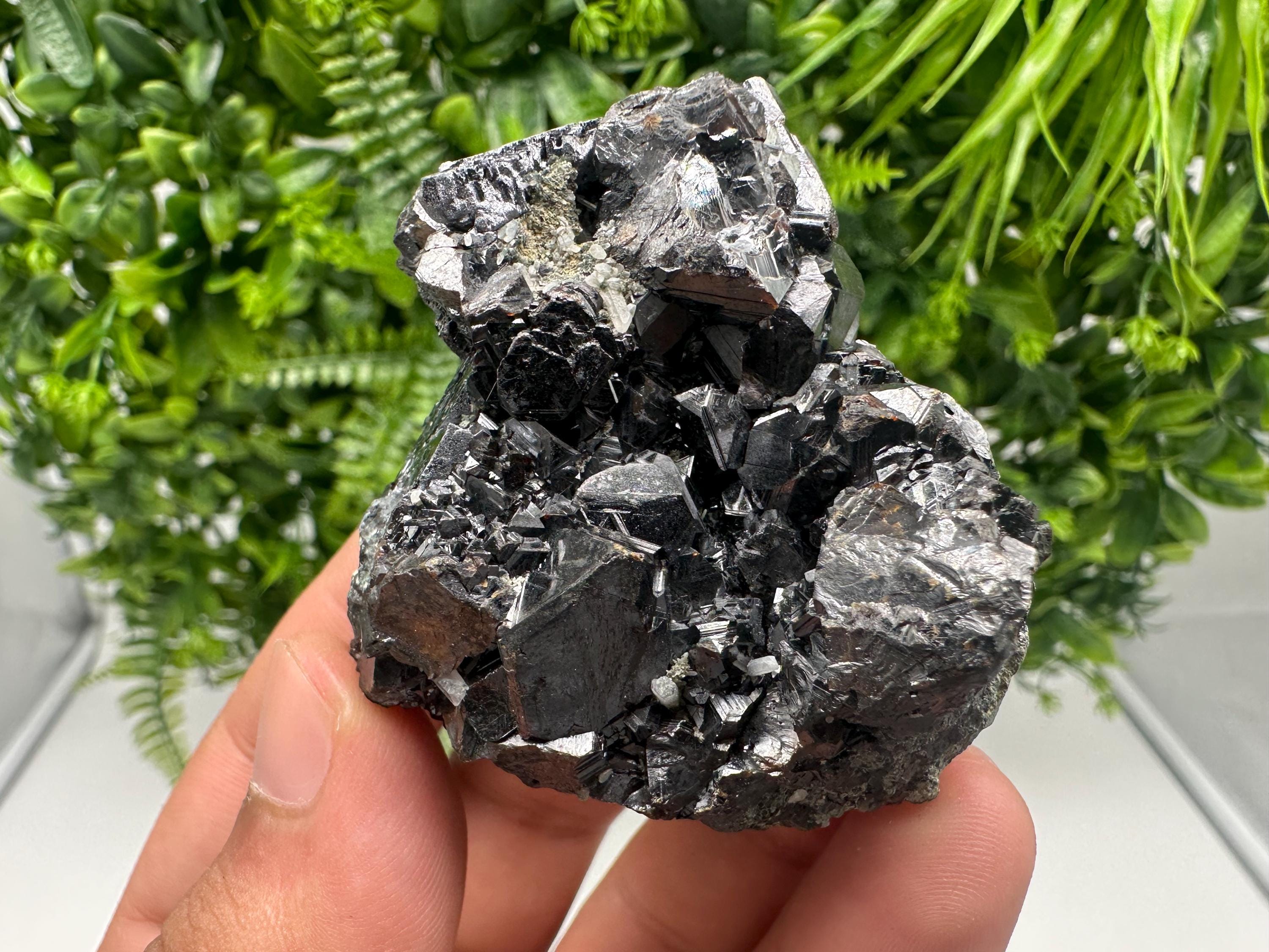 Sphalerite with Chlorite, Borieva Mine, Madan, Bulgaria