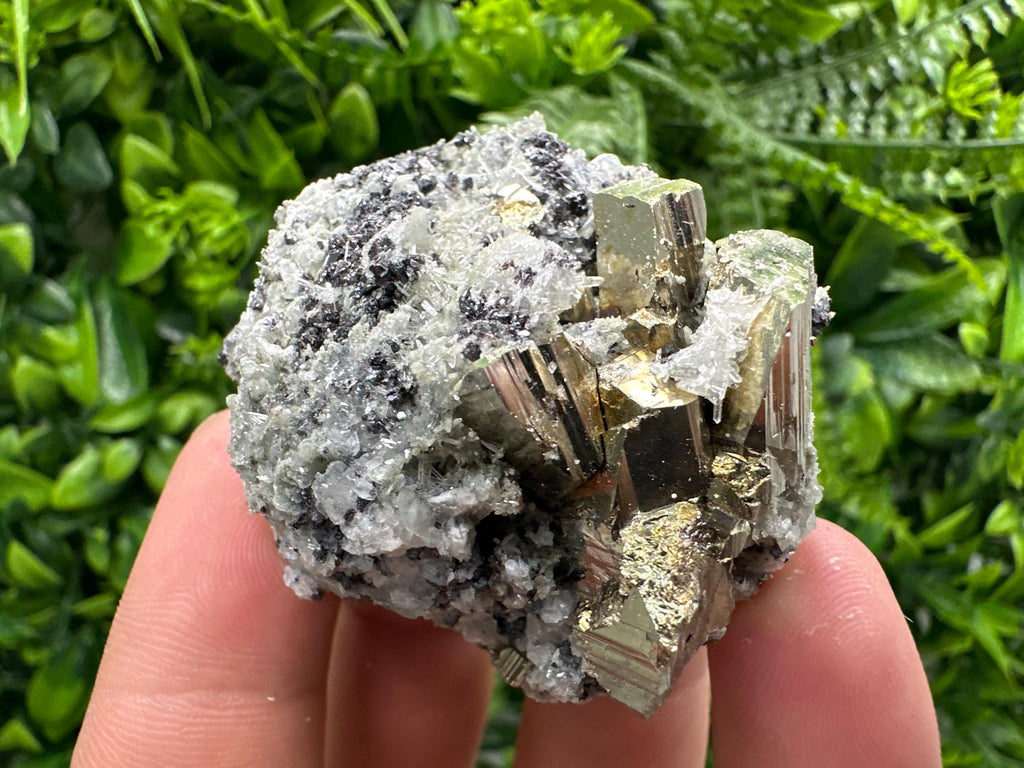 Sphalerite Pyrite on Quartz with Chlorite, Borieva Mine Mineral Specimen