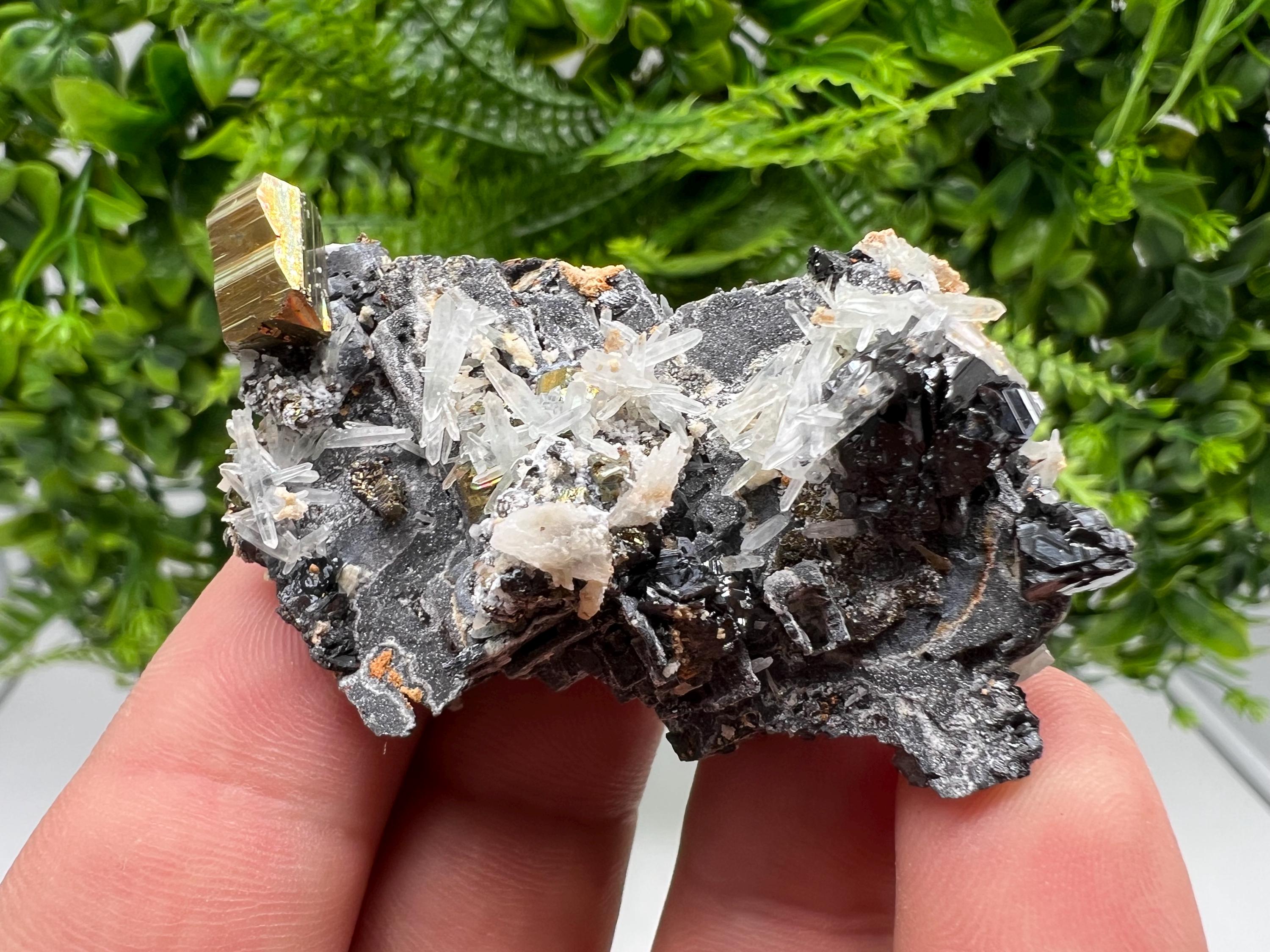 Skeleral Galena, Pyrite, Quartz Mineral Specimen, Madan Bulgaria