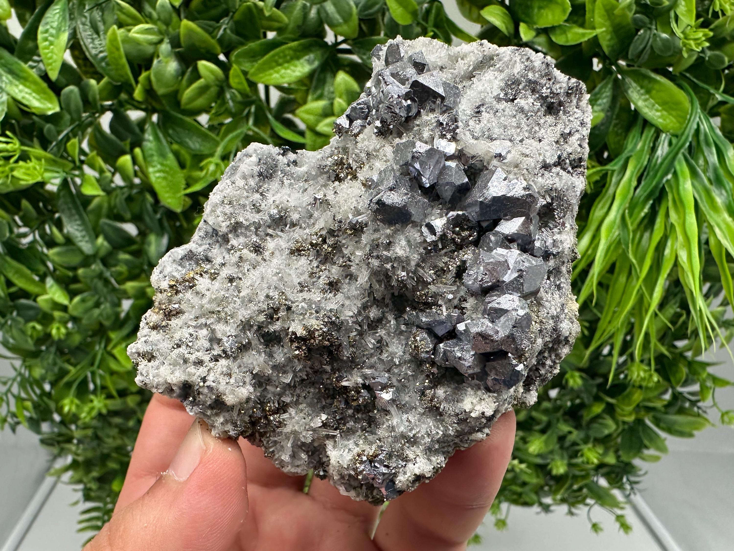 Galena Sphalerite Pyrite on Quartz: Borieva Mine Mineral Cluster