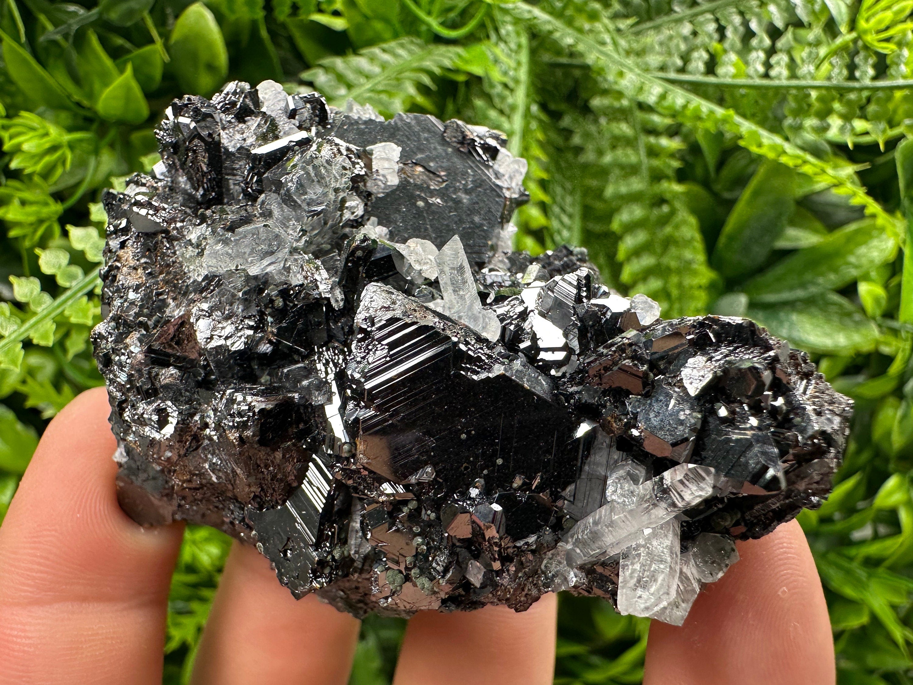 Borieva Sphalerite on Quartz: Rare Mineral Cluster