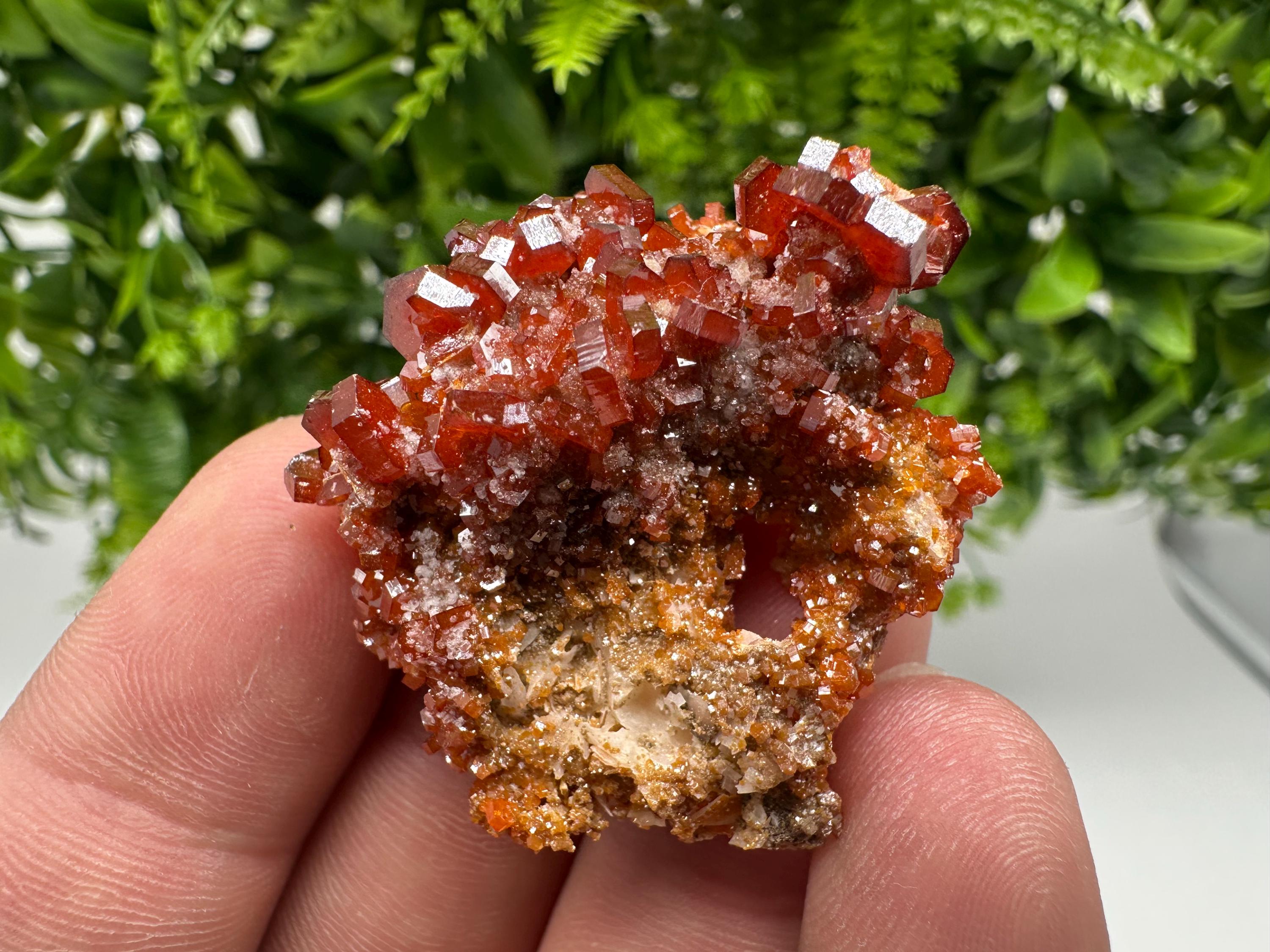 Red Vanadinite on Barite from Marocco,crystal minerals Speciment cluster Vanadinite crystal Vanadinite Geology Vanadinite cluster minerals