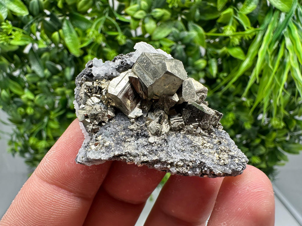 Golden Pyrite,Sphalerite from 9th September mine,Madan,Bulgaria,natural,collectible mineral specimen,home decor crystal,Pyrite cluster,
