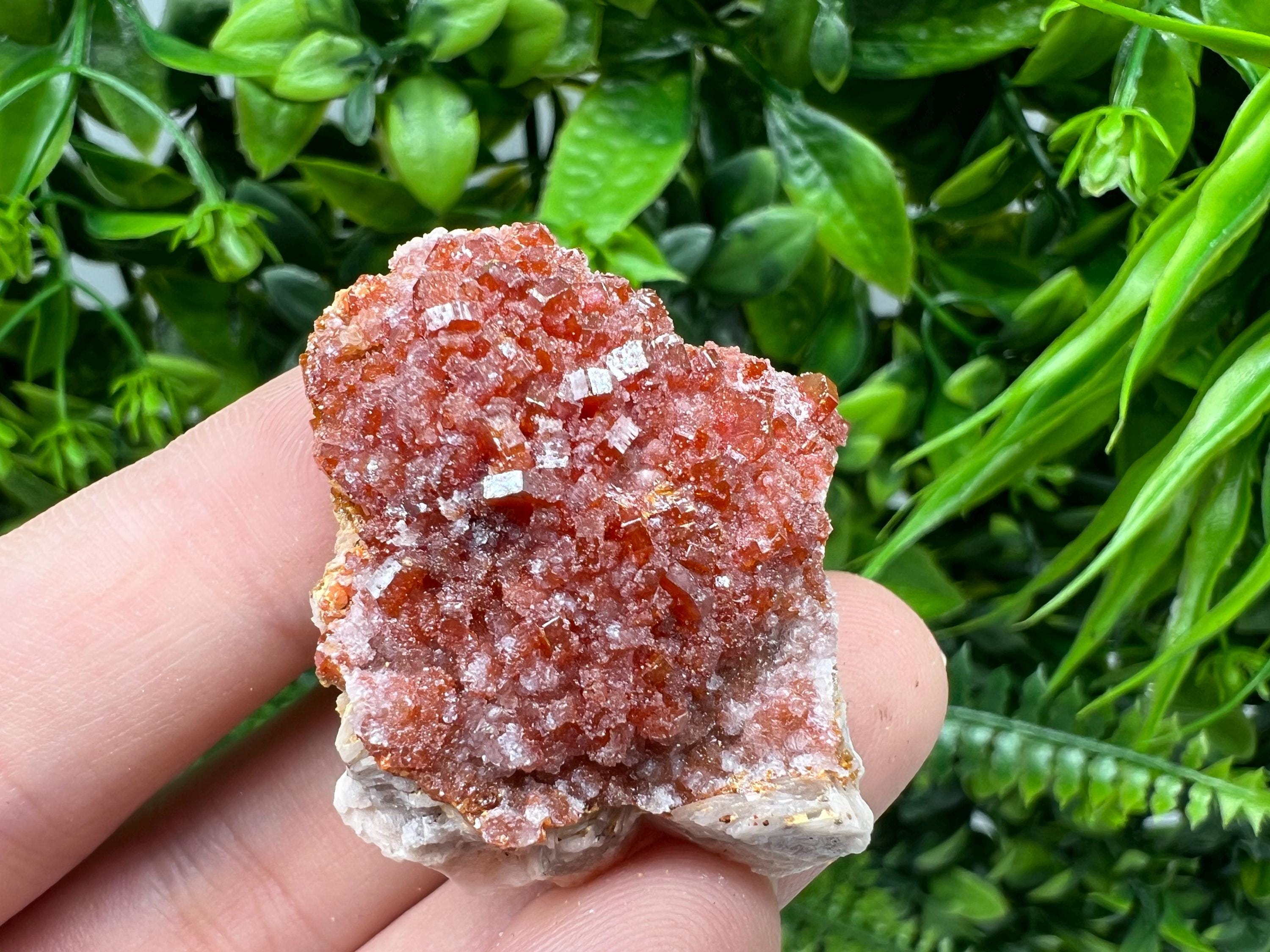 Red Vanadinite on Barite from Marocco,crystal minerals Speciment cluster Vanadinite crystal Vanadinite Geology Vanadinite cluster minerals