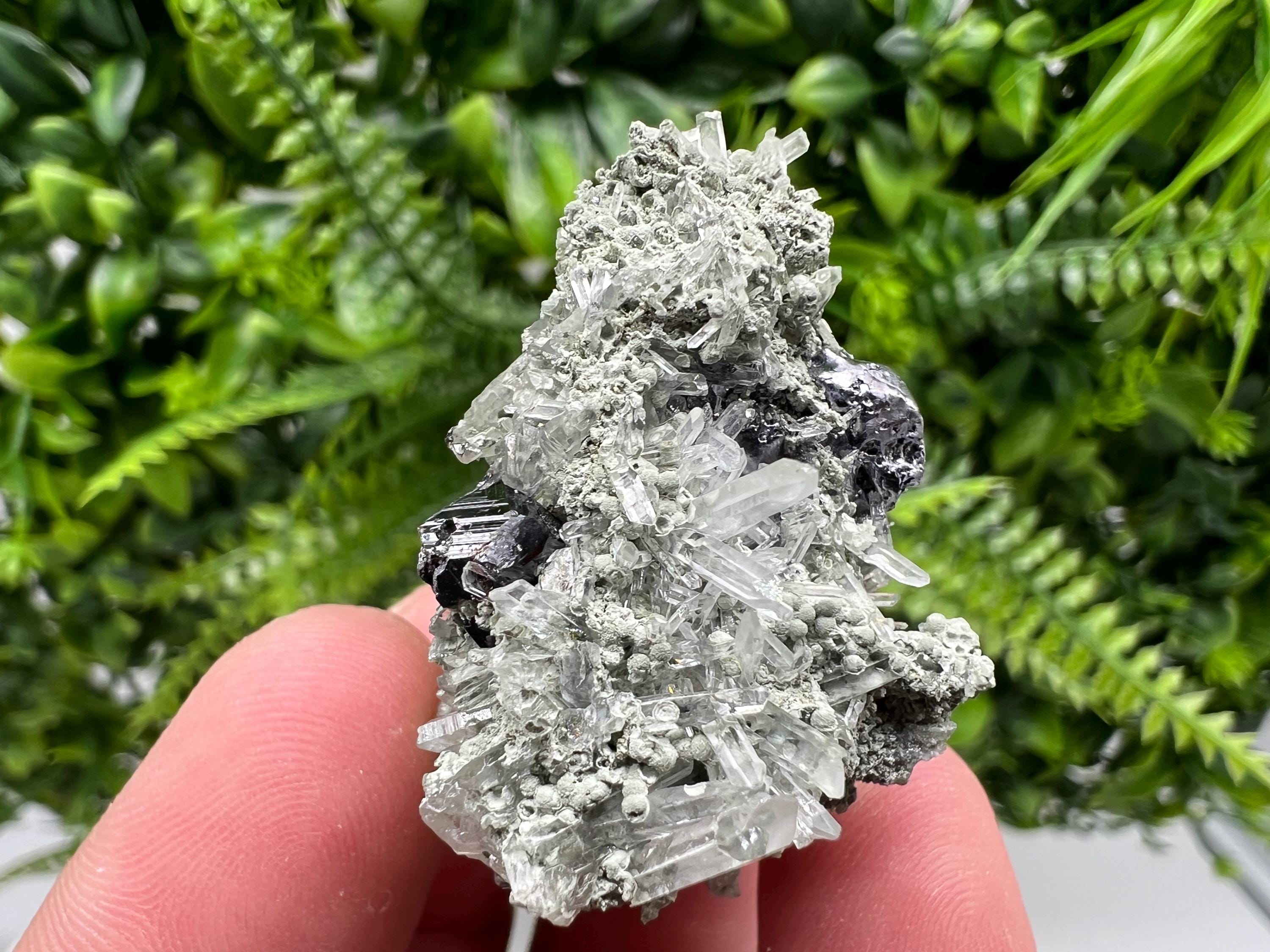 Sphalerite with Chlorite Crystal, Borieva Mine, Bulgaria