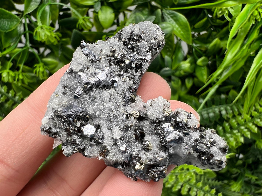 Galena Sphalerite on Quartz, Borieva Mine Bulgaria