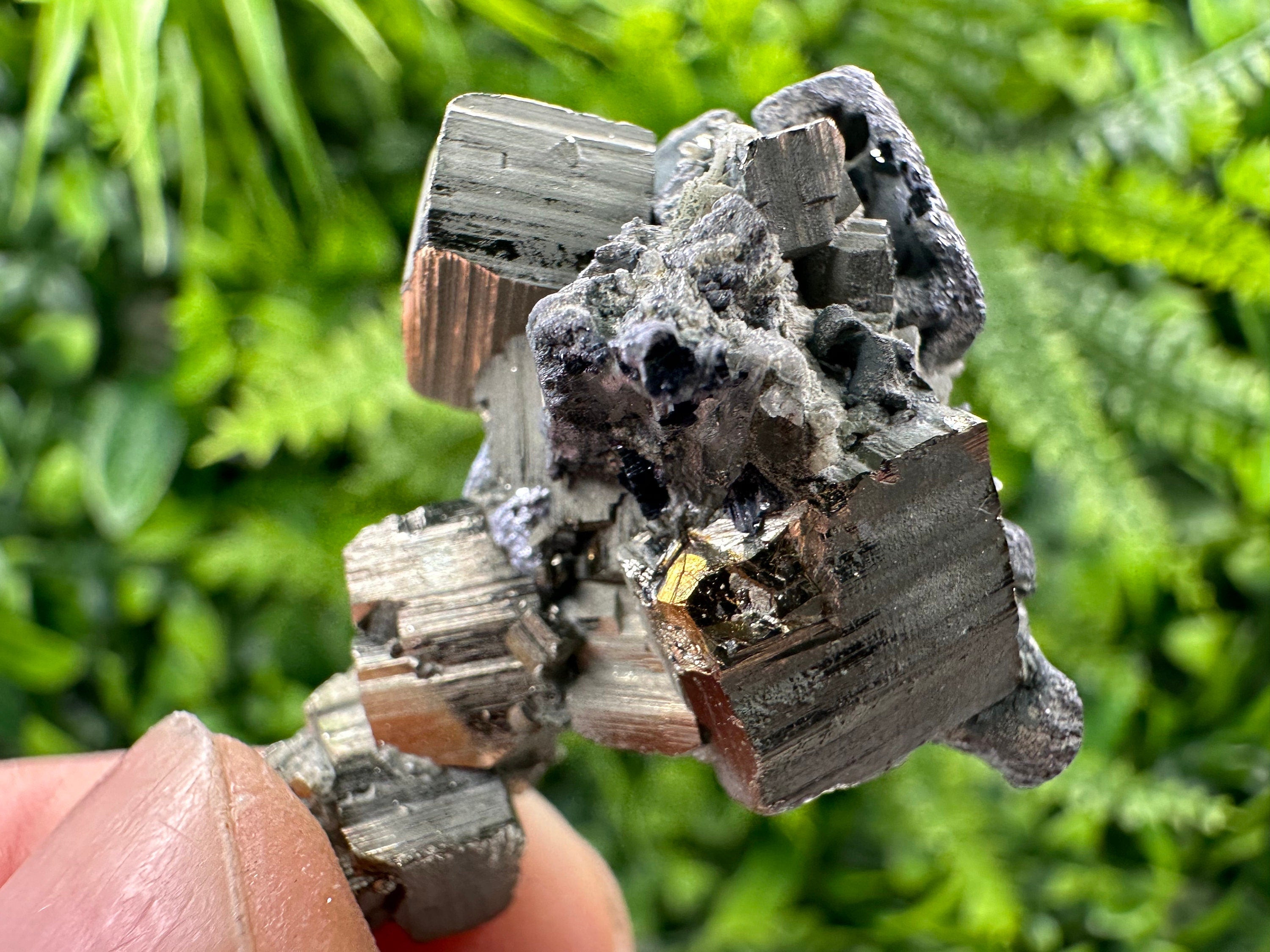 Galena on Pyrite Specimen: Borieva Mine, Bulgaria