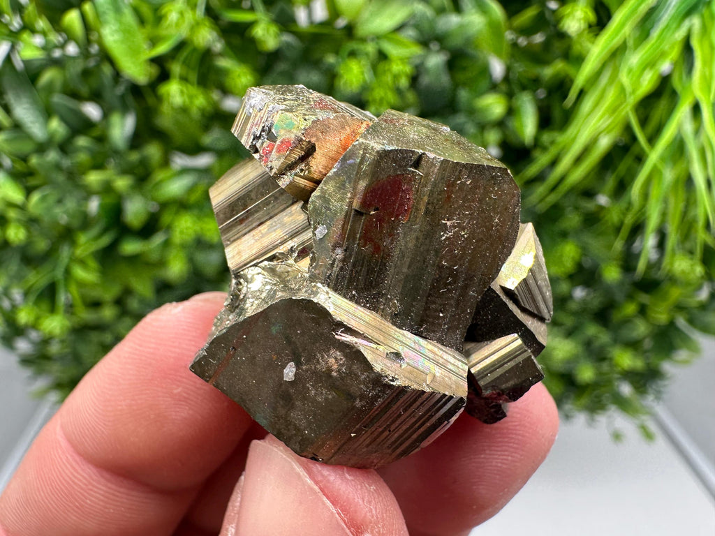 Rare Mini Pyrite Cluster: Golden Rainbow Crystallization from Borieva Mine