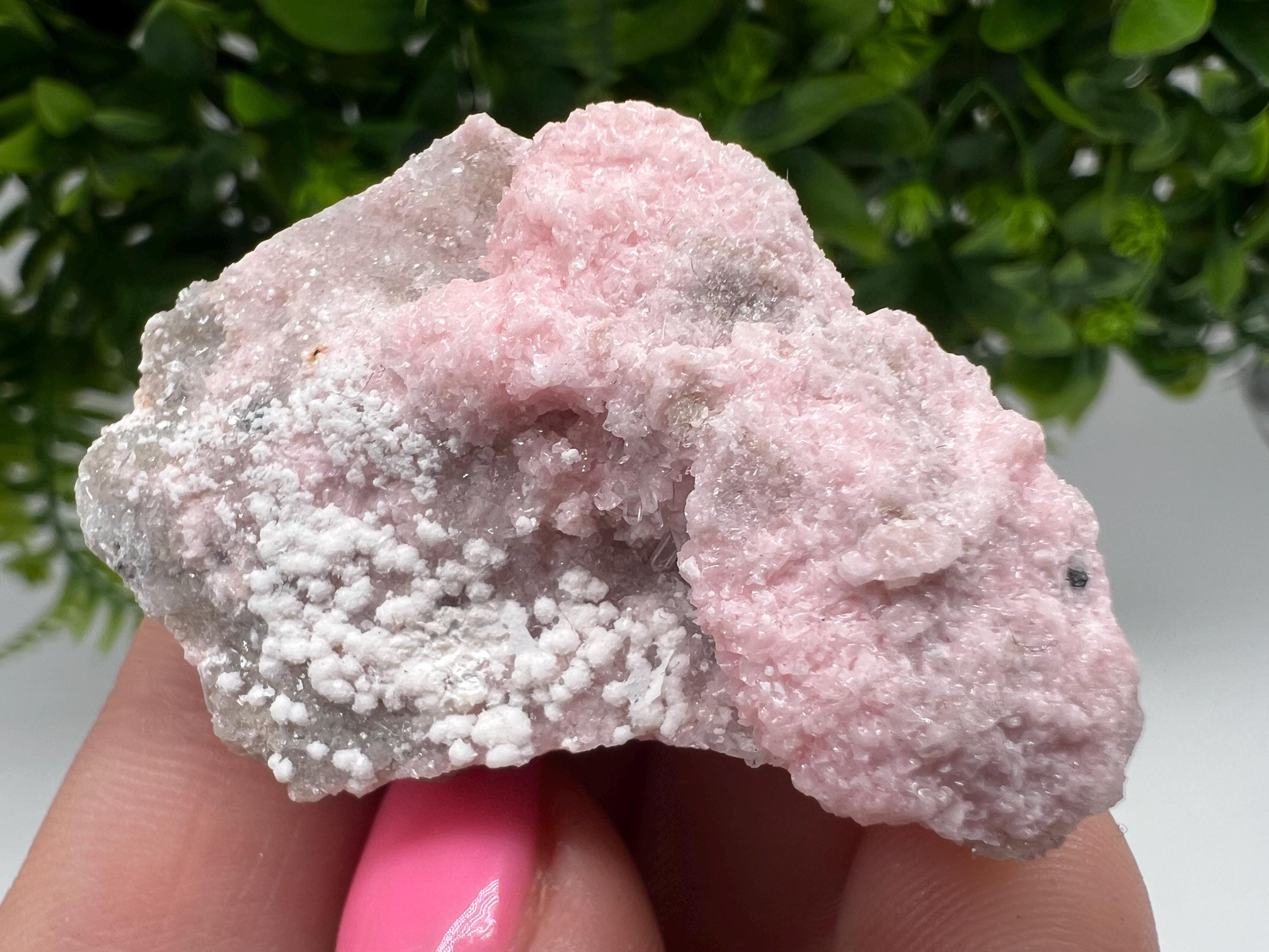 RARE Rhodochrosite with White Calcite, Starnica Mine, Bulgaria