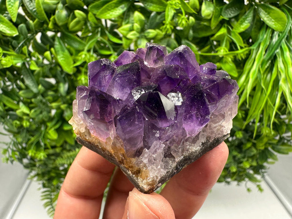 Natural Purple Amethyst Crystal Cluster from Uruguay