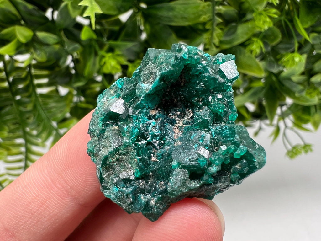 Stunning Green Dioptase from Sanda Hills,Mindouli,Pool Department,Mindouli District,Congo,green Dioptase,Dioptas Crystal,Dioptase collecting