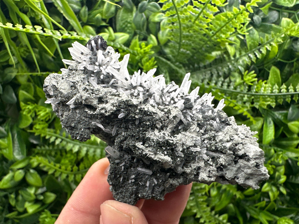 Quartz with Chlorite and Sphalerite, Borieva Mine Mineral Specimen