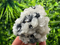 UV Fluorescence Calcite on Sphalerite, Quartz, Borieva Mine Crystal