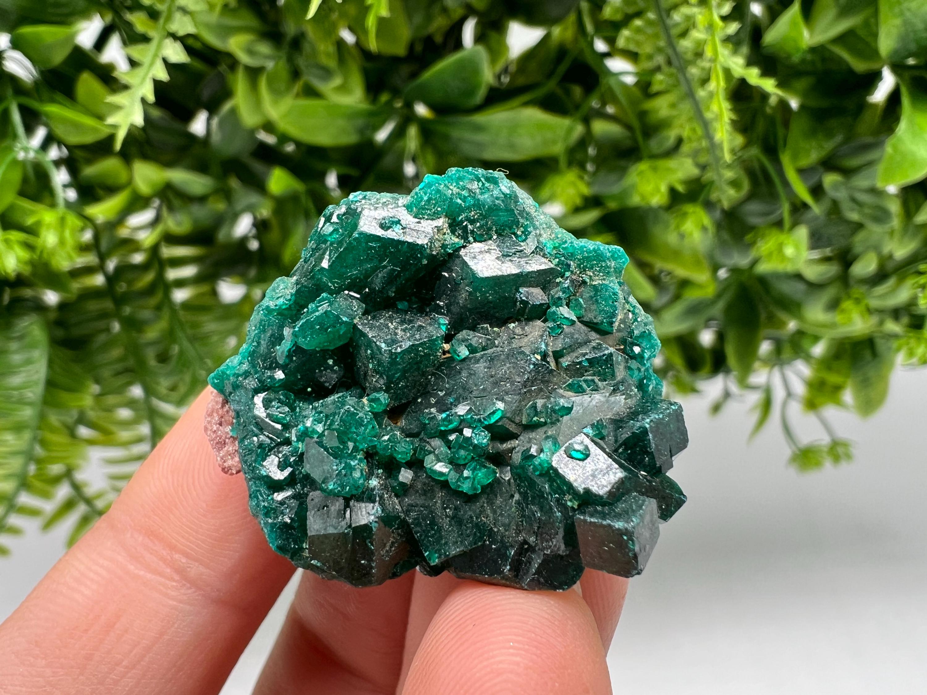 Stunning Green Dioptase from Sanda Hills,Mindouli,Pool Department,Mindouli District,Congo,green Dioptase,Dioptas Crystal,Dioptase collecting