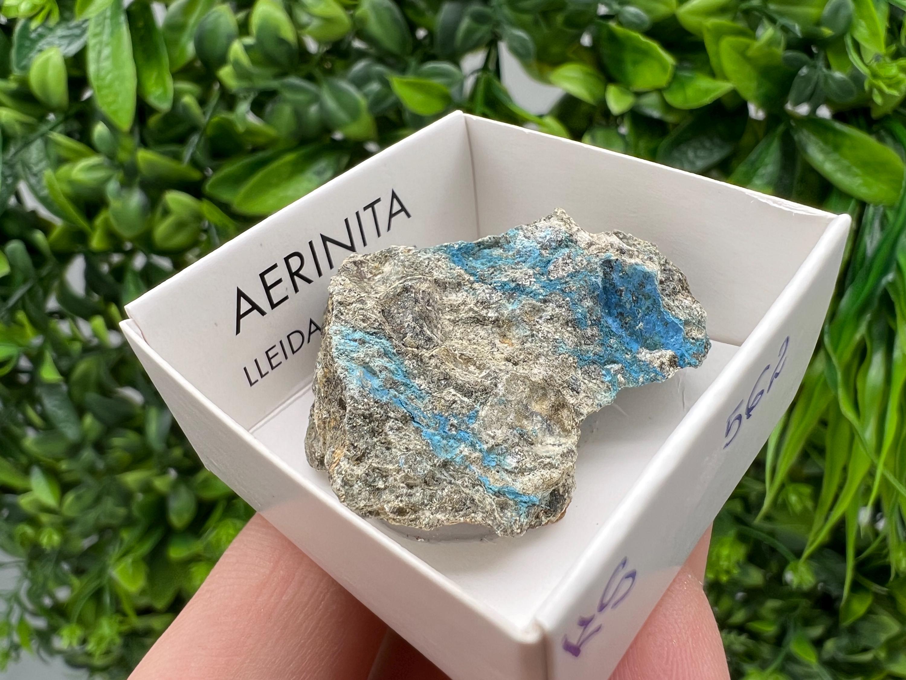 Rare Raw Aerinite Mineral Specimen: Collection Crystal from Lleida, Spain (3.5/3 CM)
