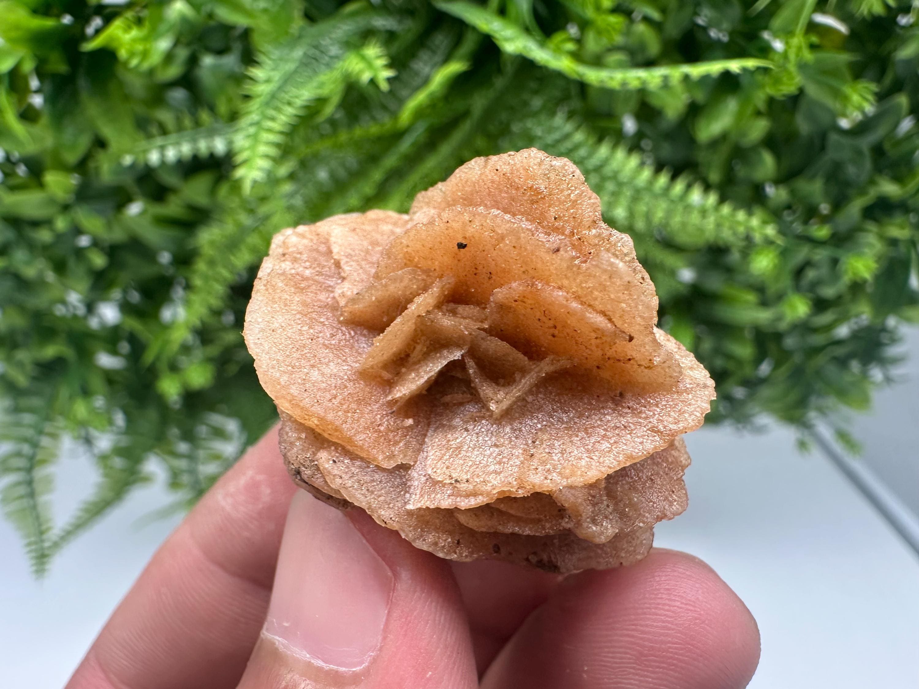 Desert Rose Crystal: Root Chakra Healing Selenite Stone